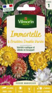 Immortelle à Bractées Double Variée